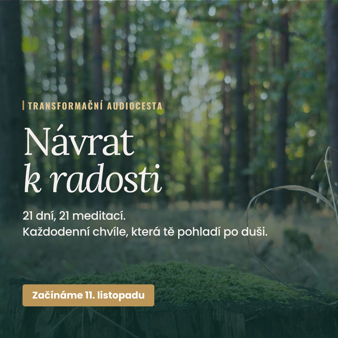 Návrat k radosti – 21 dní, 21 meditací